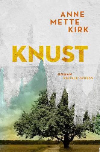 Anne Mette Kirk: Knust : roman