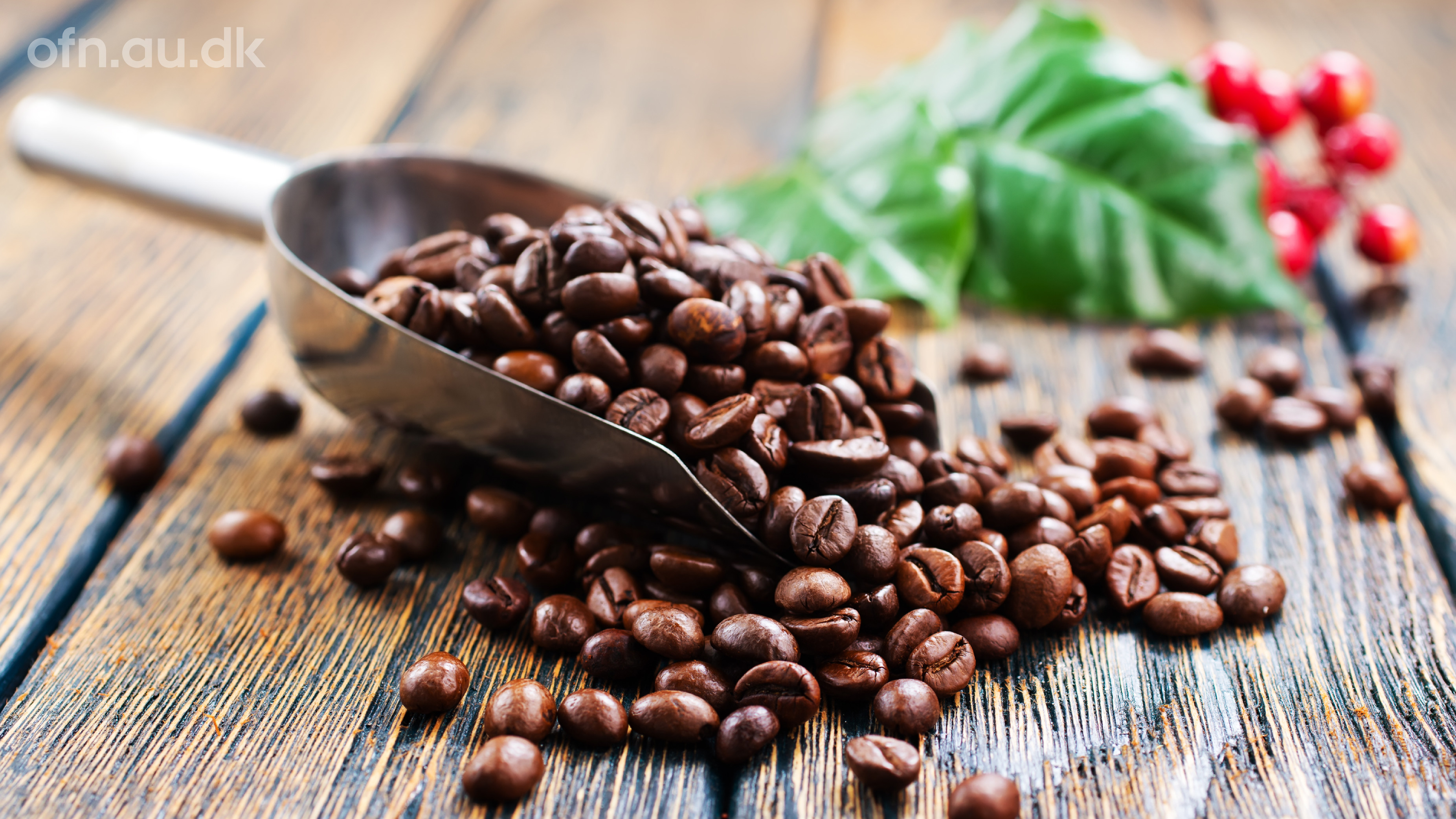 Bliv klogere på kaffe: Kom til foredrag med tre forskere