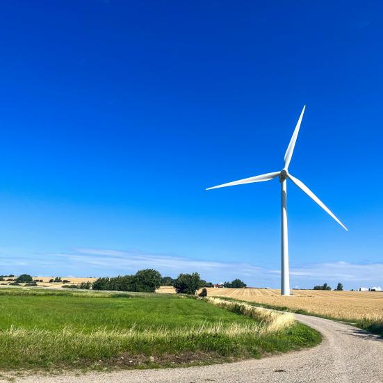 Danmarks skønne natur