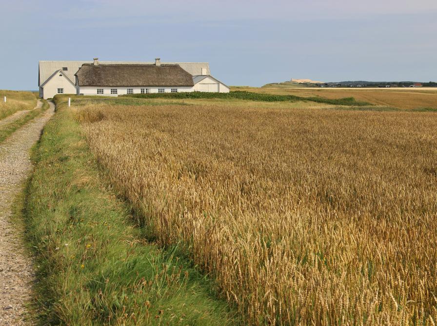 Gode bøger til ferien i Danmark, både guides og romaner